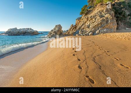 DOUBLE LIGNE DE EMPREINTES DANS PLAGE DE SABLE CALA SA BOADELLA LLORET DE MAR COSTA BRAVA GÉRONE CATALOGNE ESPAGNE Banque D'Images