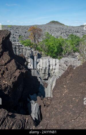 Vue sur les bizarres pinacles de calcaire connues sous le nom de Tsingy dans La Réserve d'Ankarana dans le nord de Madagascar. Banque D'Images