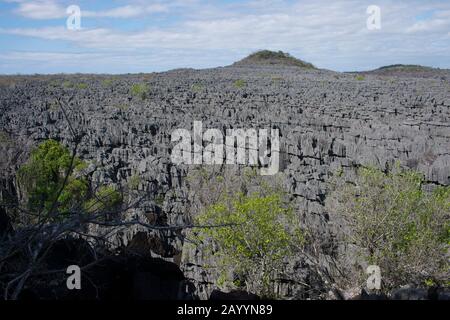 Vue sur les bizarres pinacles de calcaire connues sous le nom de Tsingy dans La Réserve d'Ankarana dans le nord de Madagascar. Banque D'Images