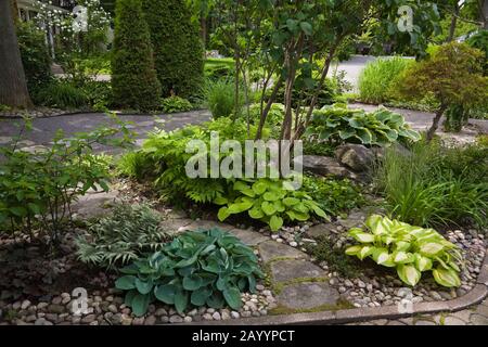 Le rocher borde les frontières avec les usines Hosta et Juniperus - Juniper arbustes dans le jardin paysagé à l'avant à la fin du printemps Banque D'Images