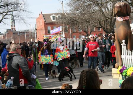 Purina Pet Parade 2020 Mardi Gras 2020. La parade Des Animaux de Compagnie est la plus grande parade des animaux de compagnie en son genre.La parade est une semaine avant la parade principale des Mardi gras Banque D'Images