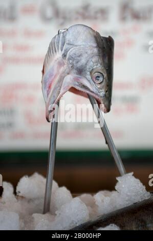 Une tête de saumon exposée au stand Jack’s Seafood dans le Pike Place Market à Seattle, État de Washington, États-Unis. Banque D'Images