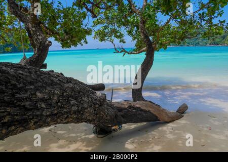 Îles Surin, province de Phang nga, Thaïlande. Banque D'Images