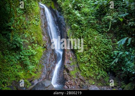 Une chute d'eau dans la forêt tropicale près du volcan Arenal au Costa Rica. Banque D'Images