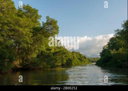 Une forêt de mangroves le long de la rivière Tárcoles, également appelée la Grande de Tárcoles ou la Río Grande de Tarcoles, au Costa Rica. Banque D'Images