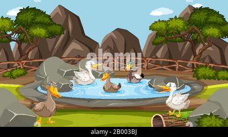 Scène zoo avec de nombreux canards dans l'illustration de l'étang Illustration de Vecteur