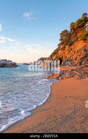 PLAGE CALA SA BOADELLA LLORET DE MAR COSTA BRAVA GÉRONE CATALOGNE ESPAGNE Banque D'Images