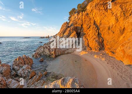 SMALL COVE CALA SA BOADELLA LLORET DE MAR COSTA BRAVA GÉRONE CATALOGNE ESPAGNE Banque D'Images