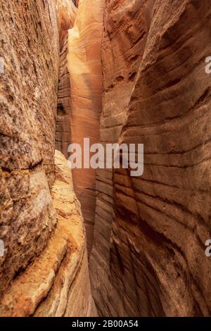 Shaanxi, Shaanxi, Chine. 18 février 2020. Shaanxi Ã¯ÂμÅ'CHINA-Jingbian wave Valley est situé dans Yanjia stockade, comté de Jingbian, province de Shaanxi.le rocher de la vallée d'ondulations de jingbian est appelé grès rouge, formé entre le Permian paléozoïque et le Trias Mésozoïque, jurassique et crétacé.C'était la période la plus géologiquement active et biologiquement riche en histoire animale. Crédit: Sipa Asia/Zuma Wire/Alay Live News Banque D'Images