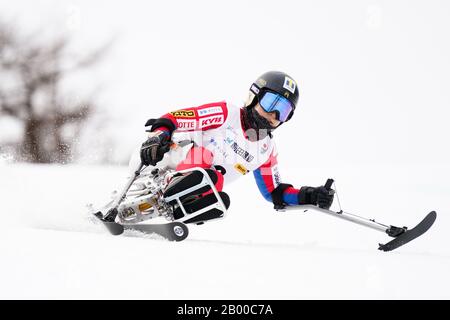 Ueda, Nagano, Japon. 14 février 2020. Yoshiko Tanaka (Jpn), Le 14 Février 2020 - Ski Alpin : Slalom Géant Féminin Assis À Sugadaira Pine Beak En 2020 Mondial Para Alpine Ski Asia Cup À Ueda, Nagano, Japon. Crédit: SportsPressJP/AFLO/Alay Live News Banque D'Images