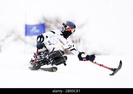 Ueda, Nagano, Japon. 14 février 2020. Aika Kishimoto (Jpn), Le 14 Février 2020 - Ski Alpin : Slalom Géant Féminin Assis À Sugadaira Pine Beak En 2020 Mondial Para Alpine Ski Asia Cup À Ueda, Nagano, Japon. Crédit: SportsPressJP/AFLO/Alay Live News Banque D'Images