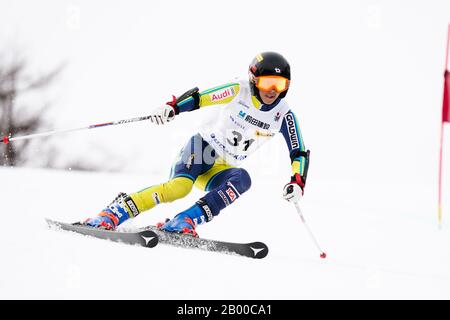 Ueda, Nagano, Japon. 14 février 2020. Yuto Okada (Jpn), Le 14 Février 2020 - Ski Alpin : Slalom Géant Pour Hommes Sourds À Sugadaira Pine Beak En 2020 Mondial Para Alpine Ski Asia Cup À Ueda, Nagano, Japon. Crédit: SportsPressJP/AFLO/Alay Live News Banque D'Images