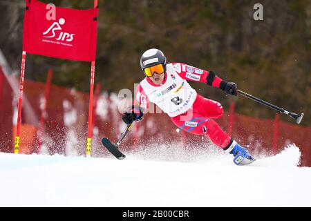 Ueda, Nagano, Japon. 14 février 2020. Hiraku Misawa (Jpn), 14 Février 2020 - Ski Alpin : Slalom Géant Masculin Debout À Sugadaira Pine Beak En 2020 Mondial Para Alpine Ski Asia Cup À Ueda, Nagano, Japon. Crédit: SportsPressJP/AFLO/Alay Live News Banque D'Images