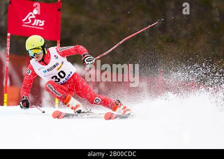 Ueda, Nagano, Japon. 14 février 2020. Yusuke Murata (Jpn), 14 Février 2020 - Ski Alpin : Slalom Géant Des Hommes Sourd À Sugadaira Pine Beak En 2020 Mondial Para Alpine Ski Asia Cup À Ueda, Nagano, Japon. Crédit: SportsPressJP/AFLO/Alay Live News Banque D'Images