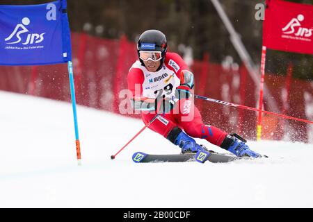 Ueda, Nagano, Japon. 14 février 2020. Kodai Nakamura (Jpn), Le 14 Février 2020 - Ski Alpin : Slalom Géant Pour Hommes Sourd À Sugadaira Pine Beak En 2020 Mondial Para Alpine Ski Asia Cup À Ueda, Nagano, Japon. Crédit: SportsPressJP/AFLO/Alay Live News Banque D'Images