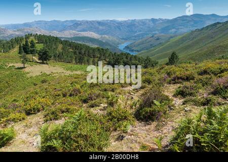 Parc National Peneda Geres, Paysage, Minho, Portugal Banque D'Images