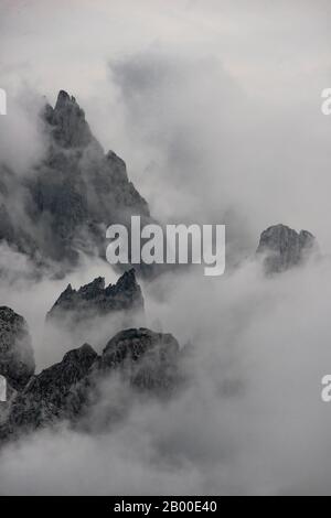 Aiguilles de roche fissurées, pics du Cadini di Meurina, montagnes couvertes de brouillard, Sesto Dolomites, Tyrol du Sud, Alto-Adige, Italie Banque D'Images