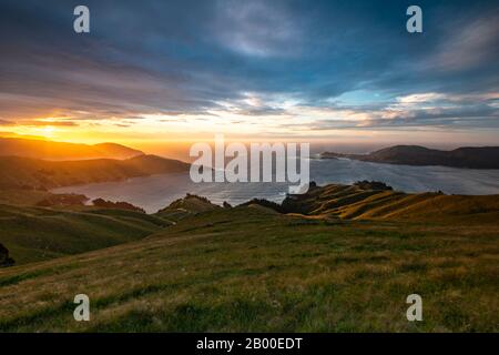 Vue sur les prairies et la côte rocheuse au coucher du soleil, le passage français, la région de Marlborough, Marlborough Sounds, Picton, South Island, Nouvelle-Zélande Banque D'Images