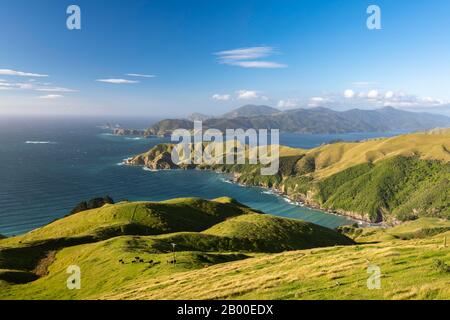 Voir de prés et côte rocheuse à la French Pass, région de Marlborough, Marlborough Sounds, Picton, île du Sud, Nouvelle-Zélande Banque D'Images