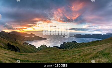 Vue sur les prairies et la côte rocheuse au coucher du soleil, le passage français, la région de Marlborough, Marlborough Sounds, Picton, South Island, Nouvelle-Zélande Banque D'Images