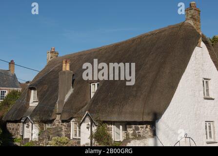 Cottage traditionnel sur le toit De chaume cornouiller dans le village de pêche maritime de Cadgwith sur le sentier de la côte sud-ouest dans les Cornouailles rurales, Angleterre, Royaume-Uni Banque D'Images