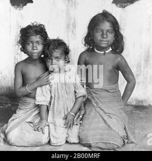 Sri Lanka : Portrait de trois jeunes filles cinghalais, fin du XIXe siècle. Les Sri Lanka sont un groupe ethnique qui forme la majorité, soit 74% de la population sri lankaise. Ils sont environ 15 millions dans le monde. Ils vivent principalement dans le centre, le sud et l'ouest du Sri Lanka. Selon la légende, ils sont les descendants du prince exilé Vijaya qui est arrivé du Nord-est de l'Inde au Sri Lanka en 543 BCE. L'identité cinghalaise est basée sur la langue, le patrimoine et la religion. La grande majorité des cinglais sont des bouddhistes theravada et parlent cinghalais, une langue indo-européenne. Banque D'Images