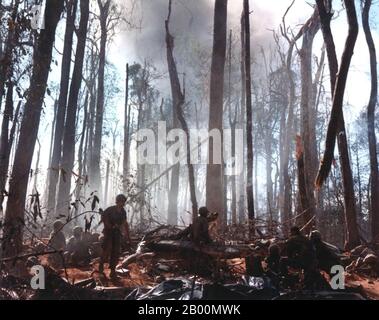 Vietnam : bataille de Dak to, 1967, troupes américaines au combat sur la colline 875. La bataille de Đắk Tô a été une série d'engagements majeurs de la guerre du Vietnam qui ont eu lieu entre le 3 novembre et le 22 novembre 1967, dans la province de Kontum, dans les Hautes-terres centrales de la République du Vietnam (Sud Vietnam). L'action de Đắk Tô a été l'une des initiatives offensives de l'Armée populaire du Vietnam (PAVN) qui ont commencé au cours de la deuxième moitié de l'année. Les batailles qui ont éclaté sur les masses de colline au sud et au sud-est de Đắk Tô sont devenues quelques-unes des batailles les plus âprées et sanglantes de la guerre du Vietnam. Banque D'Images