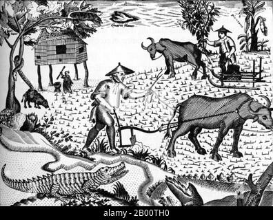 Philippines: Les agriculteurs philippins travaillent dans un champ de riz. Illustration par Pedro Murillo Velarde (1696-1753), 1734. Cette illustration est apparue pour la première fois sur une carte des Philippines par le missionnaire espagnol Pedro Murillo Velarde. Il montre des agriculteurs qui exploitent des charrues rudimentaires tirées par du boeuf tandis qu'une femme décortique du riz sous une hutte. De 1565 à 1821, les Philippines ont été gouvernées comme territoire de la Viceroyauté de la Nouvelle-Espagne et ensuite administrées directement de Madrid après la guerre d'indépendance du Mexique. Les galléons reliant Manille à Acapulco ont voyagé une ou deux fois par an entre le XVIe et le XIXe siècles. Banque D'Images
