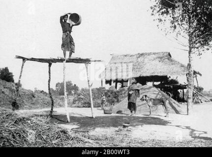 Cambodge: Photographie en 1925 d'un agriculteur qui récolte du riz. La fauchage par le vent est une méthode agricole développée par des cultures anciennes pour séparer le grain de la paille. Il est également utilisé pour éliminer les charançons ou autres ravageurs du grain entreposé. Le battage, la séparation du grain ou des graines des balles et de la paille, est l'étape du processus d'élimination de la menue paille qui intervient avant le fauchage. Dans sa forme la plus simple, il implique de jeter le mélange dans l'air de sorte que le vent souffle la balle plus légère, tandis que les grains plus lourds tombent vers le bas pour la récupération. Banque D'Images