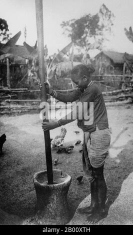 Vietnam : une jeune femme décorticage le riz avec un mortier et un pilon dans le delta du Mékong, à Cochinchinchine, en 1930. Cochinchina est une région qui englobe le tiers sud du Vietnam, y compris Saigon, ou Ho Chi Minh-ville. C'était une colonie française de 1862 à 1948. En 1864, tous les territoires français du sud du Vietnam ont été déclarés comme la nouvelle colonie française de Cochinchina, qui devait être dirigée par l'amiral Jules Marie Dupré de 1868 à 74. L'état du Sud Vietnam a été créé en 1954 en combinant Cochinchina avec le Sud de l'Annam. En vietnamien, la région s'appelle Nam Bo. Banque D'Images