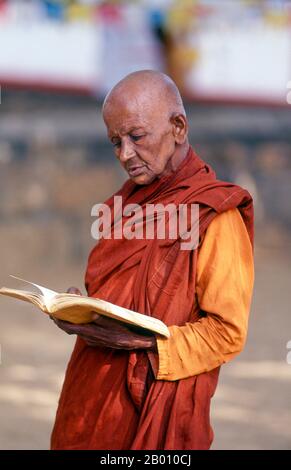 Sri Lanka: Monk priant au sacré arbre de bodhi (Jaya Sri Maha Bodhi), Anuradhapura. Jaya Sri Maha Bodhi est un arbre sacré de Fig et est dit être un prélèvement de l'arbre historique de Bodhi sous lequel Bouddha est devenu éclairé. Il a été planté en 288 BCE, et est le plus ancien arbre vivant planté par l'homme dans le monde avec une date connue de plantation. Anuradhapura est l'une des anciennes capitales du Sri Lanka et célèbre pour ses ruines bien conservées. Du 4ème siècle avant notre ère jusqu'au début du XIe siècle avant notre ère c'était la capitale. Banque D'Images