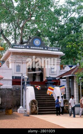 Sri Lanka: Entrée à l'arbre sacré de bodhi (Jaya Sri Maha Bodhi), Anuradhapura. Jaya Sri Maha Bodhi est un arbre sacré de Fig et est dit être un prélèvement de l'arbre historique de Bodhi sous lequel Bouddha est devenu éclairé. Il a été planté en 288 BCE, et est le plus ancien arbre vivant planté par l'homme dans le monde avec une date connue de plantation. Anuradhapura est l'une des anciennes capitales du Sri Lanka et célèbre pour ses ruines bien conservées. Du 4ème siècle avant notre ère jusqu'au début du XIe siècle avant notre ère c'était la capitale. Banque D'Images