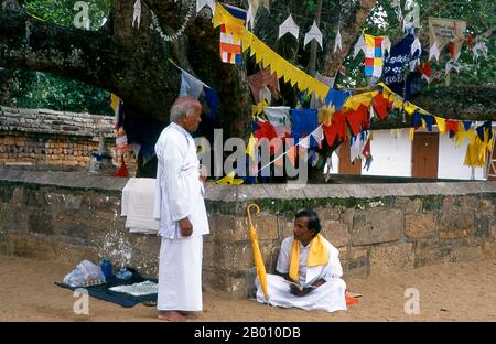 Sri Lanka : adorateurs de l'arbre sacré de bodhi (Jaya Sri Maha Bodhi), Anuradhapura. Jaya Sri Maha Bodhi est un arbre sacré de Fig et est dit être un prélèvement de l'arbre historique de Bodhi sous lequel Bouddha est devenu éclairé. Il a été planté en 288 BCE, et est le plus ancien arbre vivant planté par l'homme dans le monde avec une date connue de plantation. Anuradhapura est l'une des anciennes capitales du Sri Lanka et célèbre pour ses ruines bien conservées. Du 4ème siècle avant notre ère jusqu'au début du XIe siècle avant notre ère c'était la capitale. Banque D'Images