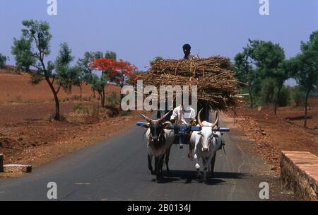 Inde: Une voiturette près de Hampi, Etat du Karnataka. Hampi est un village dans le nord de l'état de Karnataka. Il est situé dans les ruines de Vijayanagara, l'ancienne capitale de l'empire de Vijayanagara. Avant la ville de Vijayanagara, il continue d'être un important centre religieux, abritant le temple de Virupaksha, ainsi que plusieurs autres monuments appartenant à la vieille ville. Banque D'Images