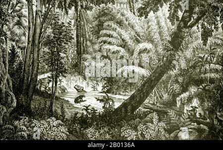 Laos: Forêt vierge autour du Mékong entre Nong Khai (Siam) et Pak Lay (centre du Laos). Gravure de Louis Delaporte (1842-1925), avril 1867. Le Mékong est le 12e fleuve le plus long du monde. De sa source himalayenne sur le plateau tibétain, il coule environ 4,350 km (2,703 miles) à travers la province chinoise du Yunnan, la Birmanie, le Laos, la Thaïlande, le Cambodge et le Vietnam, Enfin drainer dans la mer de Chine du Sud. Cette illustration est l'une des douzaines produites par Louis Delaporte au cours d'une aventure de deux ans (1866-68) avec la Commission d'exploration du Mékong, parrainée par le ministère français de la Marine. Banque D'Images