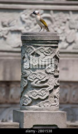 Chine : Bulbul chinois perché sur un pilier à Wenshu Yuan (temple de Wenshu), Chengdu, province du Sichuan. Le Bulbul à ventilation légère (Pycnonotus sinensis), également connu sous le nom de Bulbul chinois, est un oiseau et un membre de la famille du Bulbul. Wenshu Yuan (temple de Wenshu) remonte à la dynastie Tang (18 juin 618 – 4 juin 907), et était à l'origine connu sous le nom de temple Xinxiang. C'est maintenant un temple bouddhiste Zen populaire. Chengdu, anciennement Chengtu, est la capitale de la province du Sichuan, dans le sud-ouest de la Chine. Banque D'Images