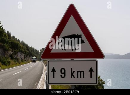 Banja, Croatie - 24 avril 2019: Signalisation routière et avertissement de sanglier traversant la rue. Banque D'Images