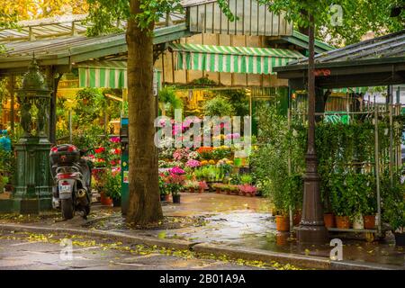 Paris, France - 11 novembre 2019 : étals dans le marché aux fleurs traditionnel, à côté du pont notre Dame. Sur la gauche, vert, l'un des Wallace Banque D'Images
