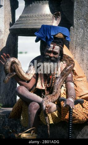 Népal: Sadhu avec son python et son cobra, Pashupatinath, Katmandou. Ils sont connus, varieusement, comme sadhus (saints, ou 'bons'), yogis (praticiens ascétiques), Fakirs (sébateur ascétique après la vérité) et sannyasins (mendiants errants et ascétiques errants). Ils sont les praticiens ascétiques – et souvent excentriques – d’une forme austère d’hindouisme. Juré de rejeter les désirs terrestres, certains choisissent de vivre comme anchorites dans le désert. D'autres sont moins à la retraite, en particulier dans les villes et les temples de la vallée de Katmandou au Népal. Banque D'Images