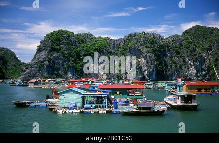 Vietnam : village de pêcheurs flottant, baie de Halong, province de Quang Ninh. Dans les ha vietnamiens, on entend longtemps le « dragon en train de devenir », et la légende veut que la baie de Halong ait été formée par un dragon gigantesque qui a plongé dans le golfe de Tonkin, créant des milliers de affleurements calcaires par l’amarrage de sa queue. Les géologues ont tendance à rejeter cette théorie, en faisant valoir que la myriade d'îles qui bordent la baie d'Halong et s'étendent jusqu'à la frontière chinoise, sont le produit de l'érosion sélective des fonds marins pendant des millénaires. Banque D'Images