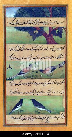 Inde: Animaux de l'Hindustan - chauves-souris et oiseaux. Peinture miniature de la Baburnama, fin du 16th siècle. Bāburnāma (littéralement: 'Livre de Babur' ou 'lettres de Babur'; ou connu sous le nom de Tuzk-e Babri) est le nom donné aux mémoires de Ẓahīr ud-Dīn Muḥammad Bābur (1483-1530), fondateur de l'Empire moghol et un arrière-arrière-petit-fils de Timur. C'est une œuvre autobiographique, écrite à l'origine dans la langue Chagatai, connue par Babur sous le nom de 'Turki' (signifiant turc), la langue parlée des Andijan-Timuridés. Banque D'Images