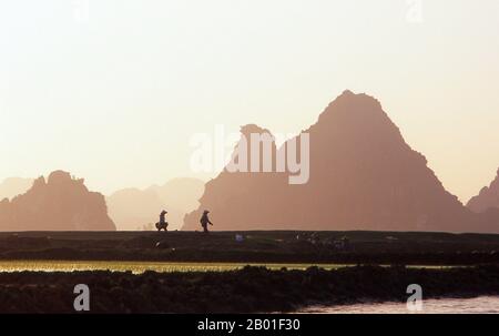 Vietnam: Paysage près de Kenh GA, province de Ninh Binh. Au village flottant de Kenh GA ou ‘Chicken Canal’, la communauté tout entière passe sa vie sur l’eau, et le village n’est accessible qu’en bateau. Le nord du Vietnam, la région centrée sur le delta de la rivière Rouge avec sa capitale à Hanoi, s'étend de la frontière chinoise au nord jusqu'à la rivière Ma dans la province de Thanh Hoa au sud. À l'ouest, le Truong son ou «long Mountains» et la frontière laotienne forment la frontière; tandis qu'à l'est se trouve Vinh bac Bo, le «Golfe du Nord». Banque D'Images