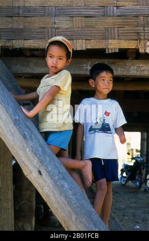Vietnam : enfants de Tai blanc près de Chan Nua, à 30 km au sud de Pa Tan, dans le nord-ouest du Vietnam. Dans les vallées étroites de la montagne de son la, Dien bien et Lai Chau provinces du nord du Vietnam, le Tai demeure une minorité très perceptible et confiante. Ils sont divisés en communautés de Tai blanc et de Tai noir, tandis que plus au sud, par la frontière lao dans les provinces de Thanh Hoa et Nghe an, où le Tai rouge prédomine. Ces sous-groupes se distinguent par la robe de leurs femmes. Les Tai du Vietnam sont des gens des vallées de montagne. Agriculture de rizières humides elles sont relativement prospères. Banque D'Images