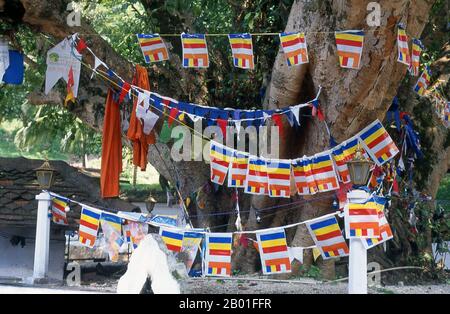 Sri Lanka : arbre de Bodhi, Sri Dalada Maligawa ou le Temple de la dent, Kandy. Sri Dalada Maligawa ou le Temple de la relique de la dent sacrée est situé dans le complexe du palais royal et abrite la relique de la dent de Bouddha. Depuis les temps anciens, la relique a joué un rôle important dans la politique locale parce qu'on croit que celui qui détient la relique détient la gouvernance du pays. Banque D'Images