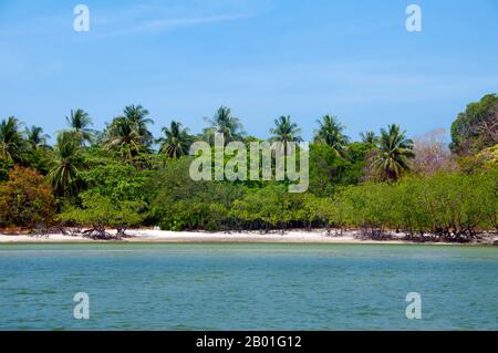 Thaïlande: AO Pante Malaka, Ko Tarutao, Ko Tarutao Parc national marin. AO Pante Melaka est une longue baie sur la rive nord-ouest de Ko Tarutao, avec une plage de sable fin. Le quartier général du parc national marin de Ko Tarutao est situé ici, ainsi qu'un centre de services touristiques qui abrite une exposition couvrant le fond historique et naturel du parc. Le parc national marin de Ko Tarutao se compose de 51 îles réparties dans deux groupes principaux dispersés à travers la mer d'Andaman dans la Thaïlande la plus méridionale. Seulement sept des îles sont de toute taille, y compris Ko Tarutao à l'est, et Ko Adang-Ko Rawi à l'ouest. Banque D'Images