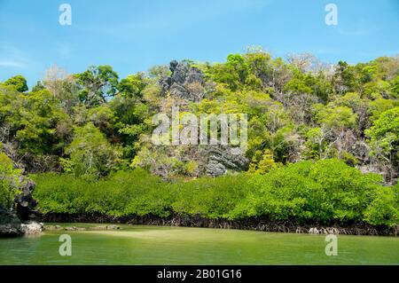 Thaïlande: AO Pante Malaka, Ko Tarutao, Ko Tarutao Parc national marin. AO Pante Melaka est une longue baie sur la rive nord-ouest de Ko Tarutao, avec une plage de sable fin. Le quartier général du parc national marin de Ko Tarutao est situé ici, ainsi qu'un centre de services touristiques qui abrite une exposition couvrant le fond historique et naturel du parc. Le parc national marin de Ko Tarutao se compose de 51 îles réparties dans deux groupes principaux dispersés à travers la mer d'Andaman dans la Thaïlande la plus méridionale. Seulement sept des îles sont de toute taille, y compris Ko Tarutao à l'est, et Ko Adang-Ko Rawi à l'ouest. Banque D'Images