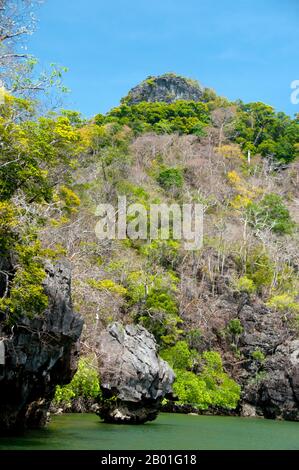 Thaïlande: AO Pante Malaka, Ko Tarutao, Ko Tarutao Parc national marin. AO Pante Melaka est une longue baie sur la rive nord-ouest de Ko Tarutao, avec une plage de sable fin. Le quartier général du parc national marin de Ko Tarutao est situé ici, ainsi qu'un centre de services touristiques qui abrite une exposition couvrant le fond historique et naturel du parc. Le parc national marin de Ko Tarutao se compose de 51 îles réparties dans deux groupes principaux dispersés à travers la mer d'Andaman dans la Thaïlande la plus méridionale. Seulement sept des îles sont de toute taille, y compris Ko Tarutao à l'est, et Ko Adang-Ko Rawi à l'ouest. Banque D'Images