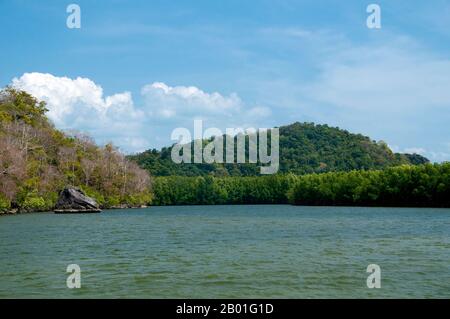 Thaïlande: AO Pante Malaka, Ko Tarutao, Ko Tarutao Parc national marin. AO Pante Melaka est une longue baie sur la rive nord-ouest de Ko Tarutao, avec une plage de sable fin. Le quartier général du parc national marin de Ko Tarutao est situé ici, ainsi qu'un centre de services touristiques qui abrite une exposition couvrant le fond historique et naturel du parc. Le parc national marin de Ko Tarutao se compose de 51 îles réparties dans deux groupes principaux dispersés à travers la mer d'Andaman dans la Thaïlande la plus méridionale. Seulement sept des îles sont de toute taille, y compris Ko Tarutao à l'est, et Ko Adang-Ko Rawi à l'ouest. Banque D'Images