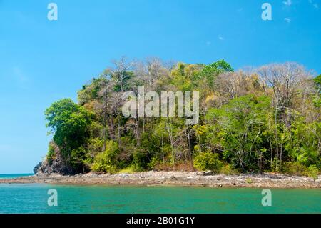 Thaïlande: AO Pante Malaka, Ko Tarutao, Ko Tarutao Parc national marin. AO Pante Melaka est une longue baie sur la rive nord-ouest de Ko Tarutao, avec une plage de sable fin. Le quartier général du parc national marin de Ko Tarutao est situé ici, ainsi qu'un centre de services touristiques qui abrite une exposition couvrant le fond historique et naturel du parc. Le parc national marin de Ko Tarutao se compose de 51 îles réparties dans deux groupes principaux dispersés à travers la mer d'Andaman dans la Thaïlande la plus méridionale. Seulement sept des îles sont de toute taille, y compris Ko Tarutao à l'est, et Ko Adang-Ko Rawi à l'ouest. Banque D'Images