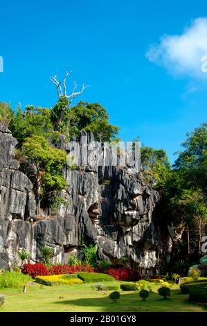 Thaïlande : Suan Hin Pha Ngam (parfois connu sous le nom de Kunming thaïlandais en raison des affleurements calcaires trouvés ici), province de Loei. La province de Loei (thaï : เลย) est située dans le nord-est de la Thaïlande. Les provinces voisines sont (de l'est dans le sens des aiguilles d'une montre) Nong Khai, Udon Thani, Nongbua Lamphu, Khon Kaen, Phetchabun, Phitsanulok. Au nord, elle borde les provinces de Xaignabouli et Vientiane du Laos. La province est couverte de basses montagnes, tandis que la capitale Loei est située dans un bassin fertile. La rivière Loei, qui traverse la province, est un affluent du Mékong. Banque D'Images